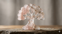 Arbre de vie : signification, origines et symbolisme universel